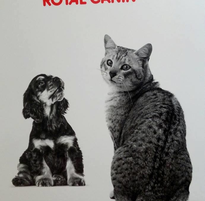 C’est le grand retour des calendriers!