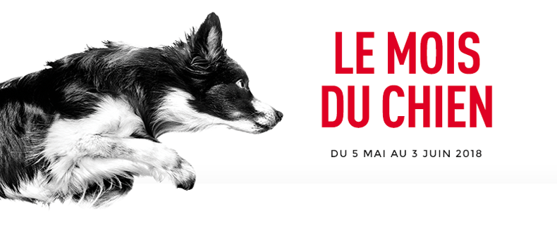 Royal Canin met vos chiens à l’honneur du 5 mai au 3 juin 2018!